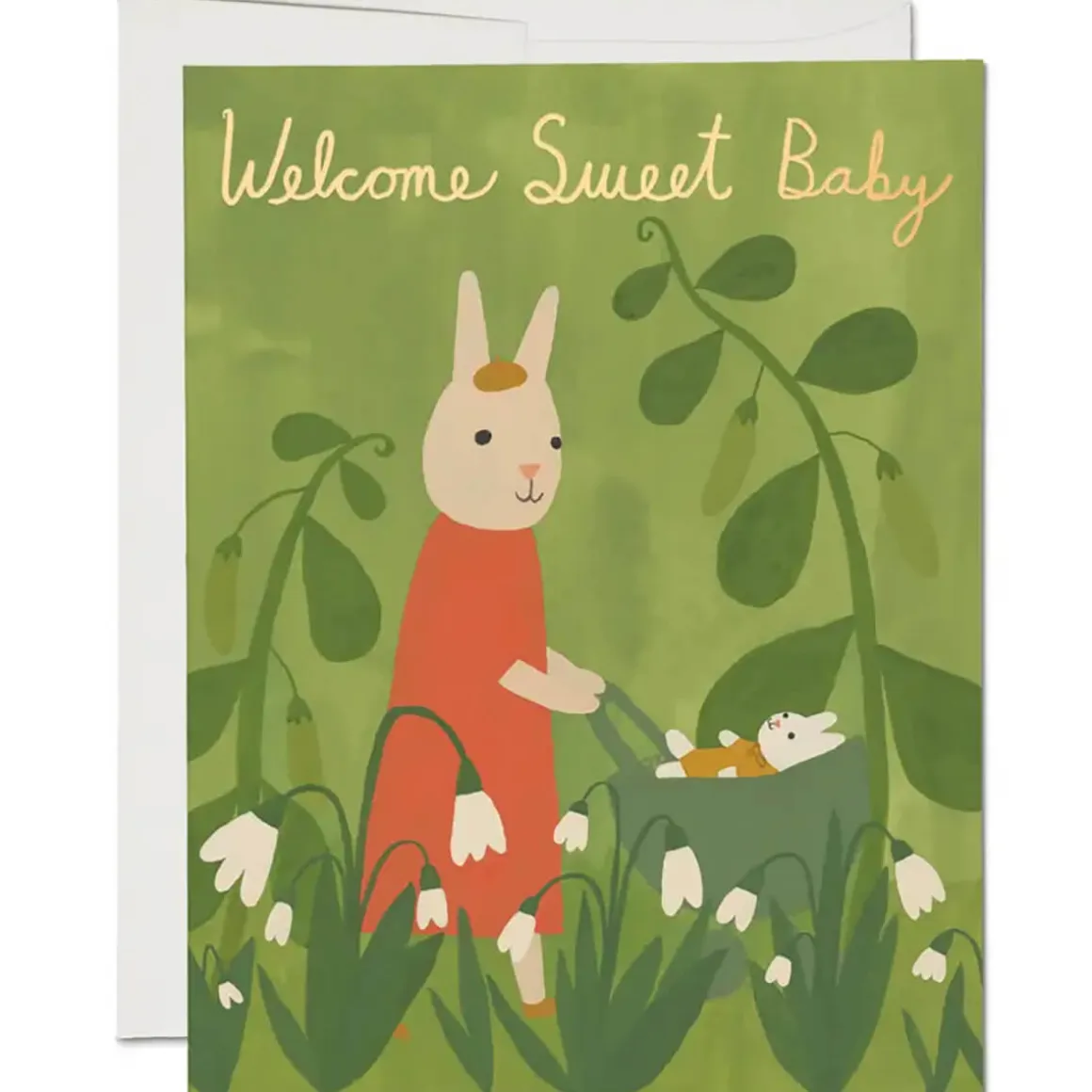 Sweet Bunny Baby Greetings Card by Red Cap Cards