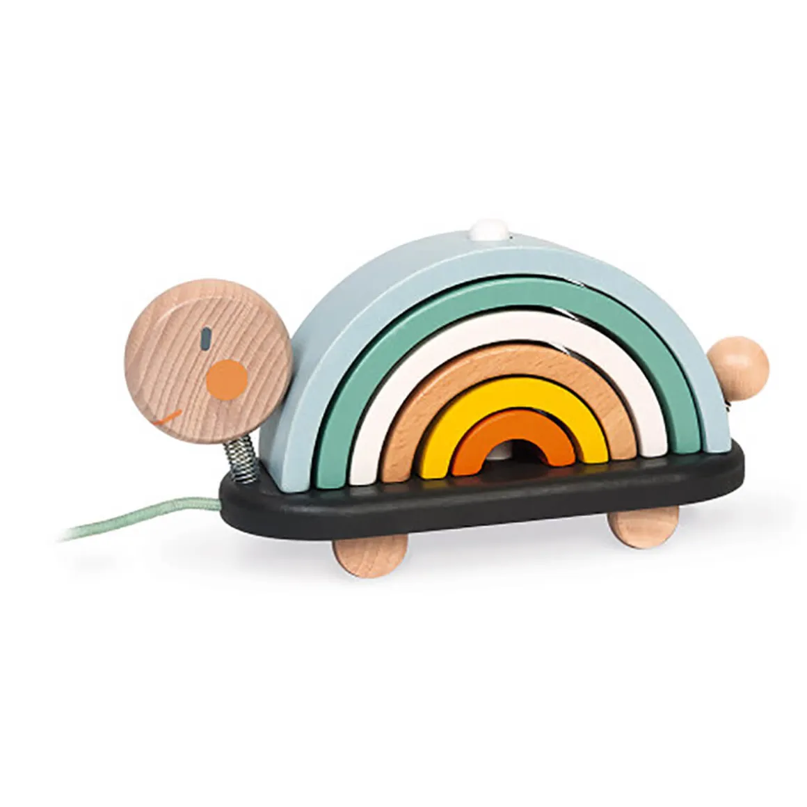 Sweet Cocoon Rainbow Turtle by Janod