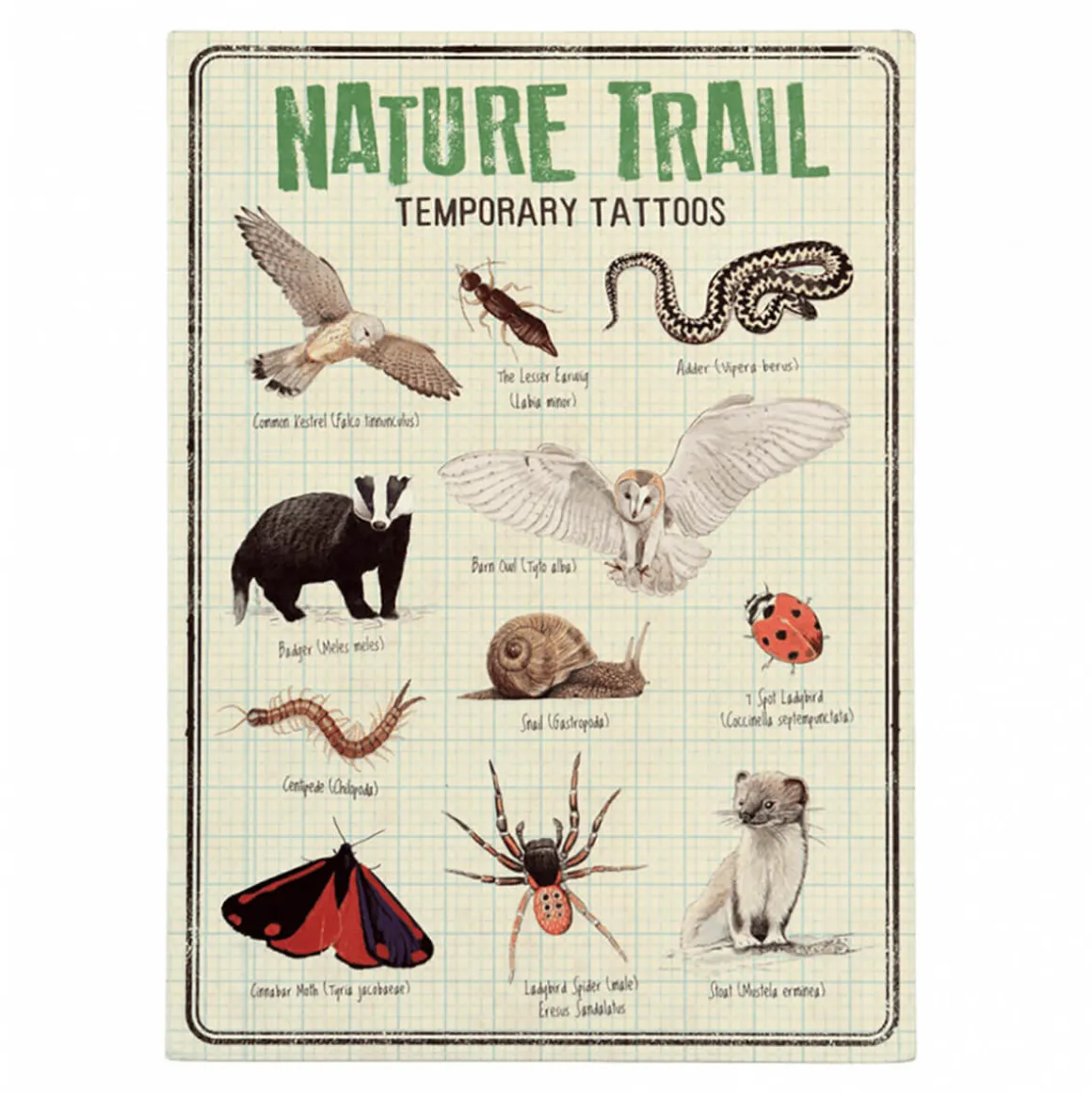 Temporary Tattoos Nature Trail by Rex London