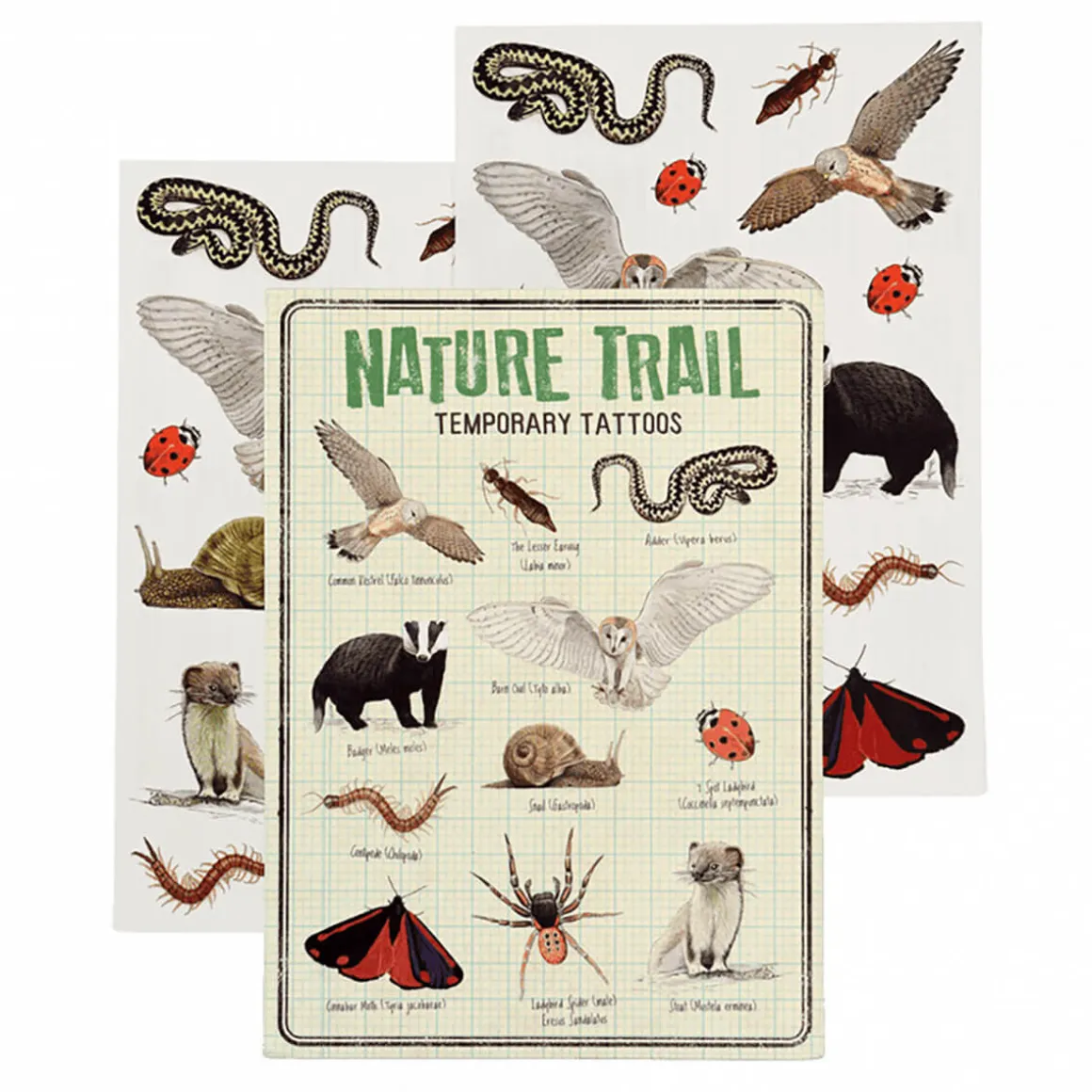 Temporary Tattoos Nature Trail by Rex London