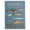 Temporary Tattoos Sharks by Rex London