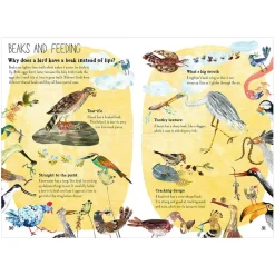 The Big Book of Birds by Yuval Zommer