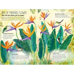 The Big Book of Blooms by Yuval Zommer