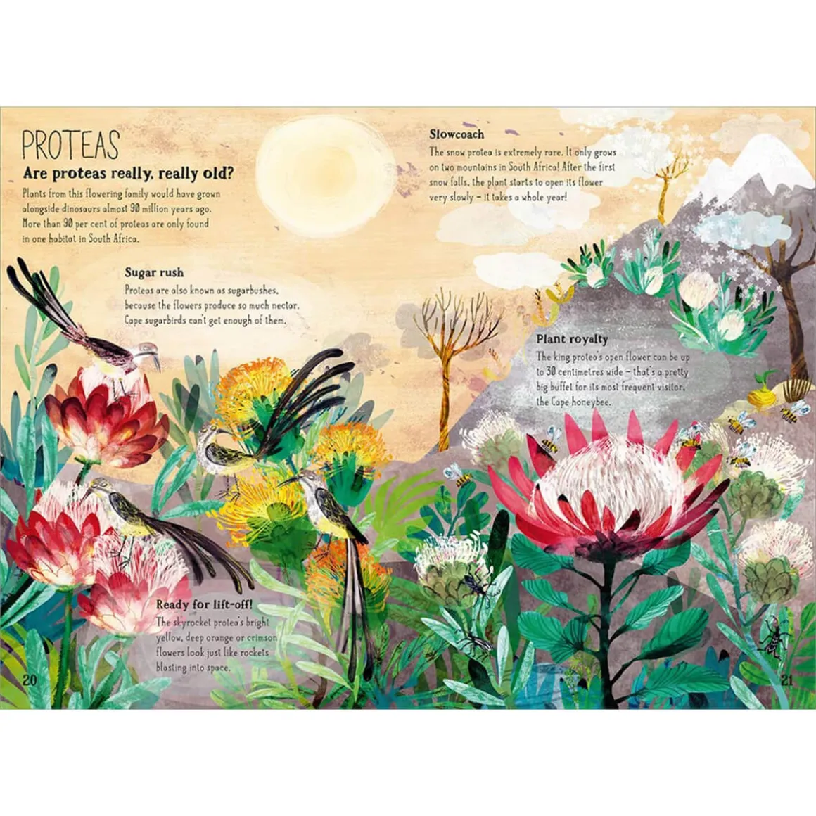 The Big Book of Blooms by Yuval Zommer