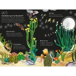 The Big Book of Blooms by Yuval Zommer