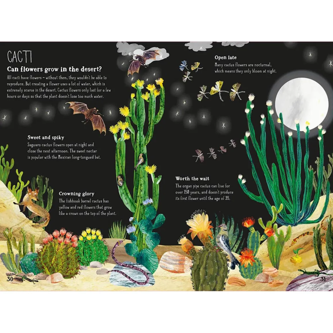 The Big Book of Blooms by Yuval Zommer