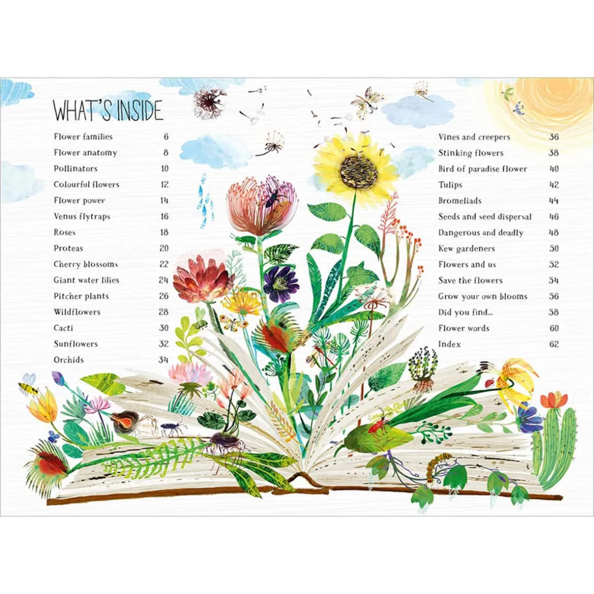 The Big Book of Blooms by Yuval Zommer
