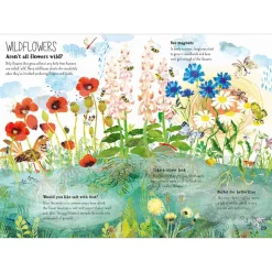 The Big Book of Blooms by Yuval Zommer