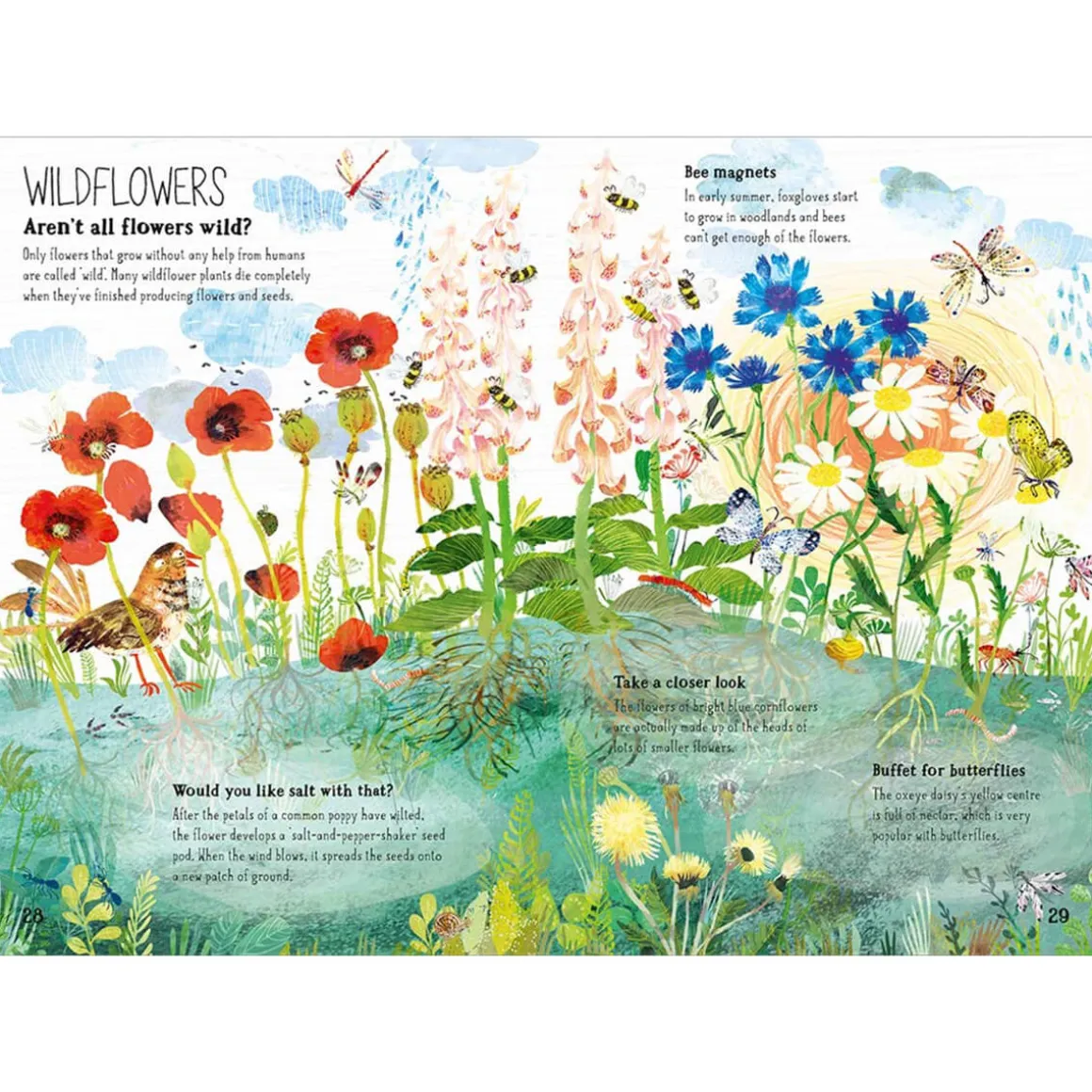 The Big Book of Blooms by Yuval Zommer