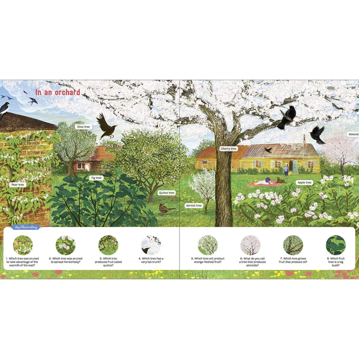The Book of Amazing Trees by Emmanuelle Tchoukriel, Julien Norwood & Nathalie Tordjman