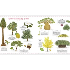 The Book of Amazing Trees by Emmanuelle Tchoukriel, Julien Norwood & Nathalie Tordjman
