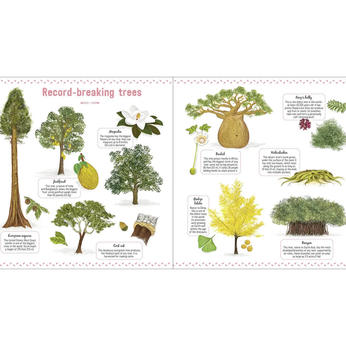 The Book of Amazing Trees by Emmanuelle Tchoukriel, Julien Norwood & Nathalie Tordjman