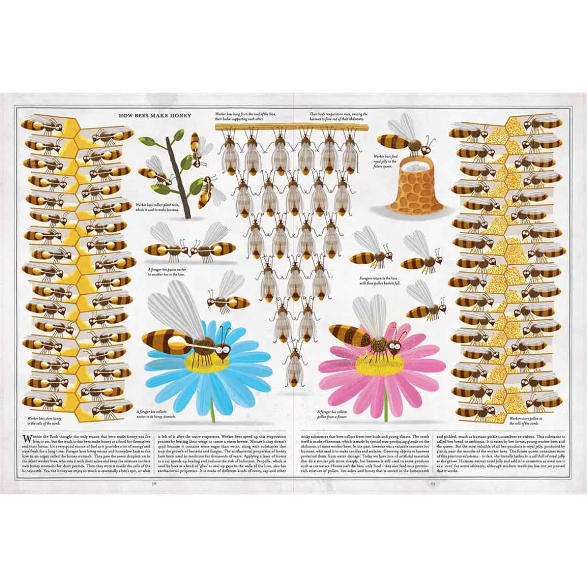 The Book Of Bees by Piotr Socha