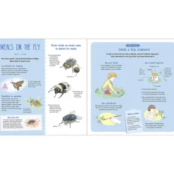 The Book of Tiny Creatures by Emmanuelle Tchoukriel, Julien Norwood & Nathalie Tordjman