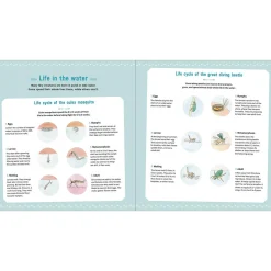 The Book of Tiny Creatures by Emmanuelle Tchoukriel, Julien Norwood & Nathalie Tordjman