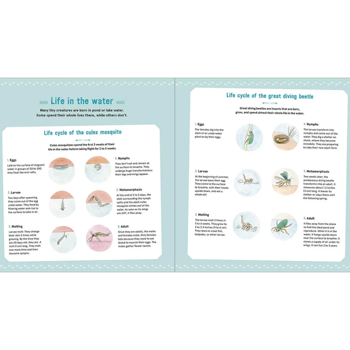 The Book of Tiny Creatures by Emmanuelle Tchoukriel, Julien Norwood & Nathalie Tordjman
