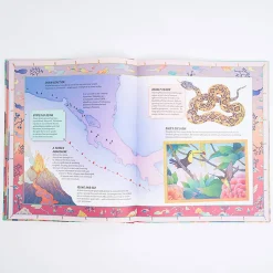 The Magic Carpet's Guide to Earth's Forbidden Places by Patrick Makin & Whooli Chen