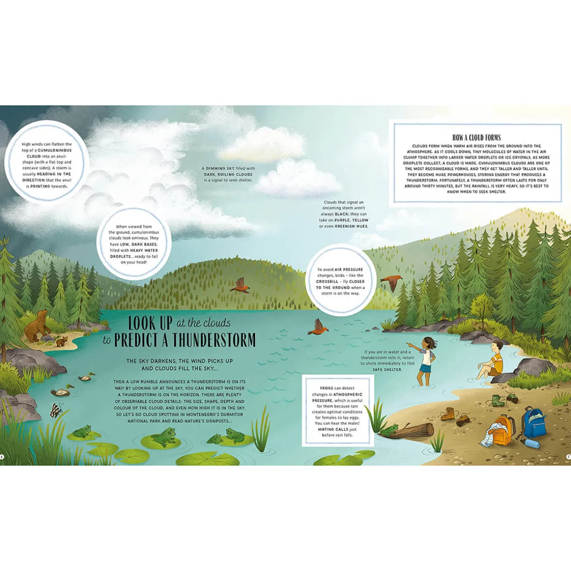 The Secret Signs of Nature by Craig Caudill & Carrie Shryock