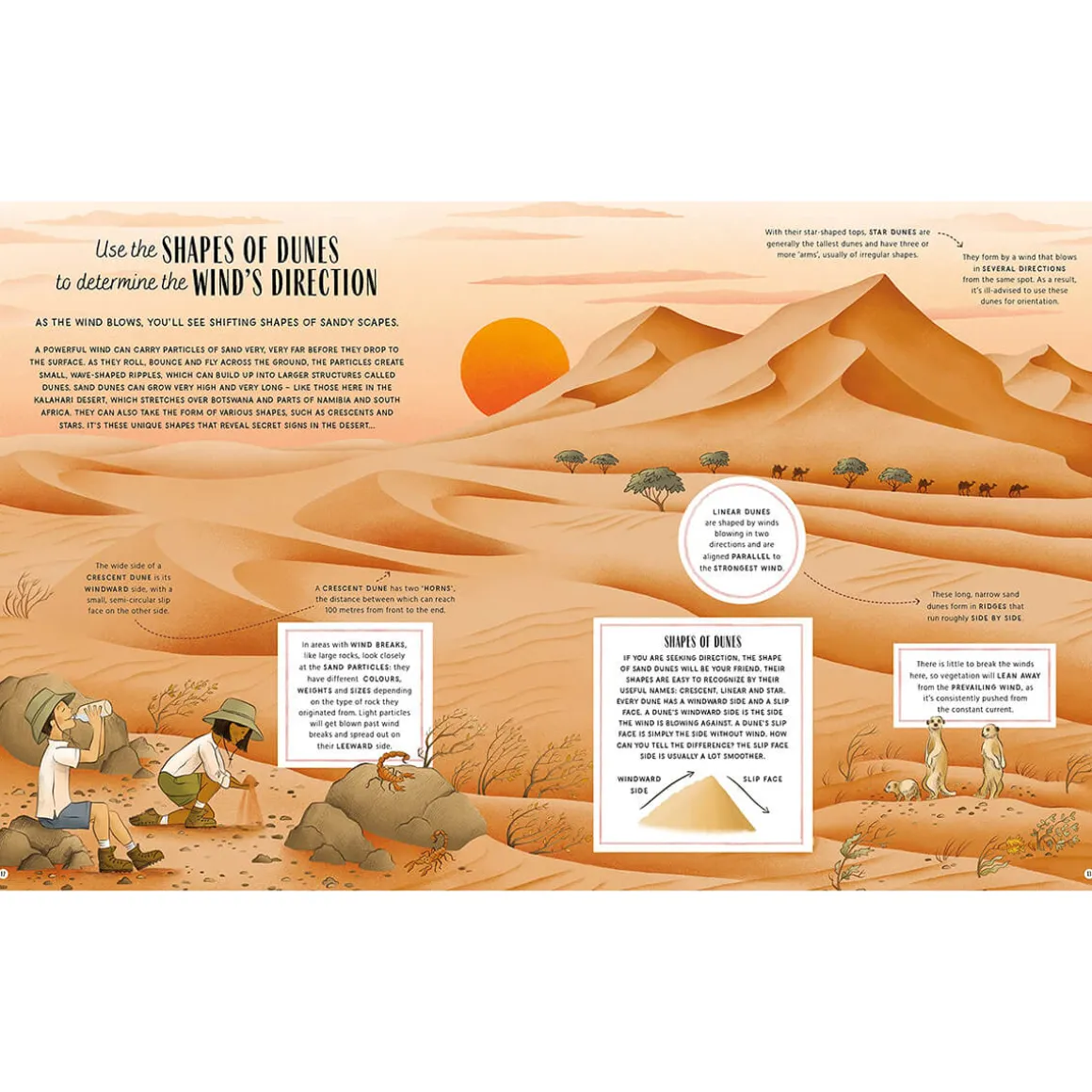 The Secret Signs of Nature by Craig Caudill & Carrie Shryock
