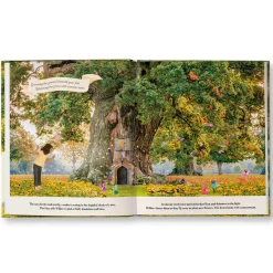 Through the Fairy Door by Gabby Dawnay, Lars van de Goor and Giulia Tomai