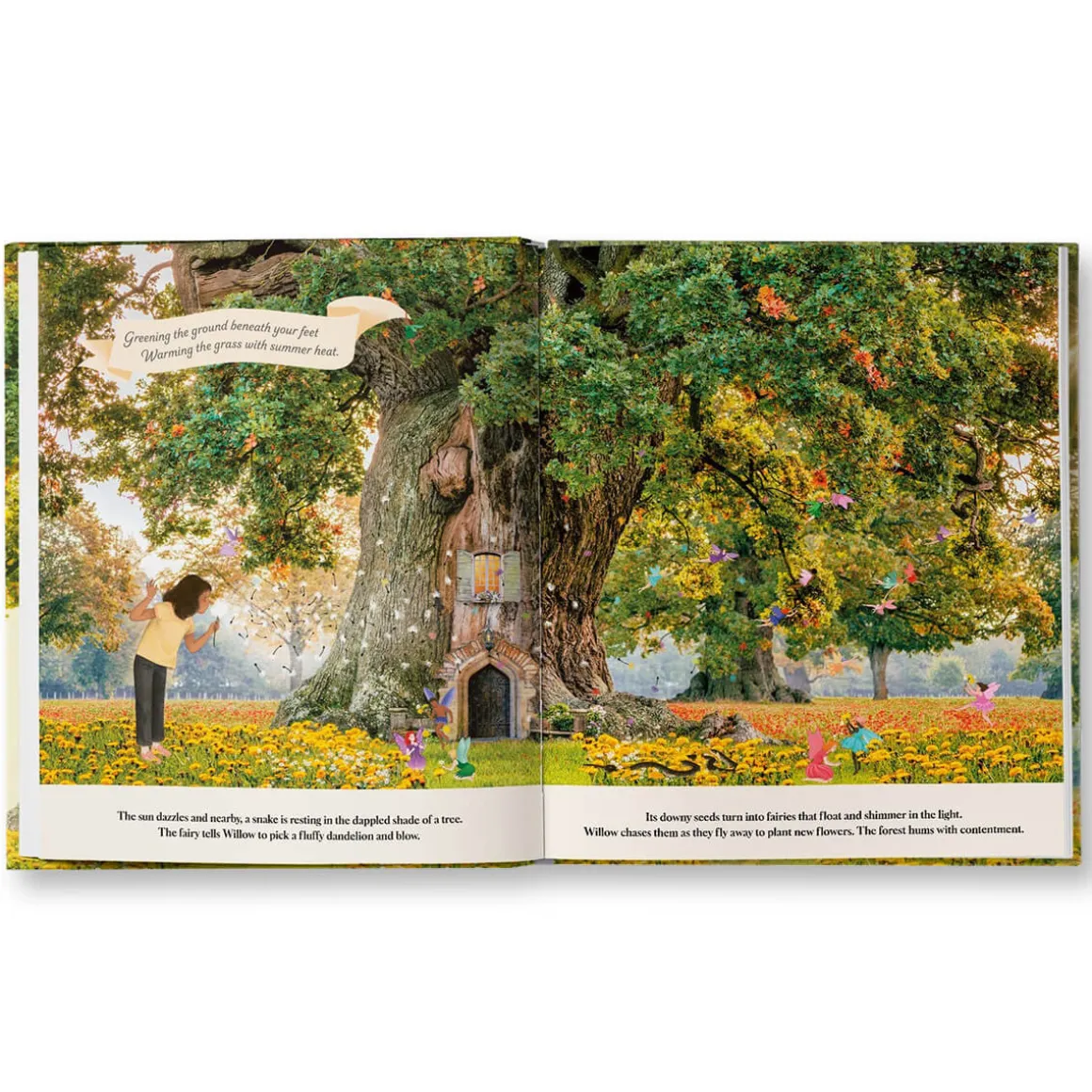 Through the Fairy Door by Gabby Dawnay, Lars van de Goor and Giulia Tomai