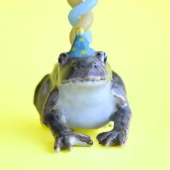 Toad Ceramic Cake Topper by Camp Hollow