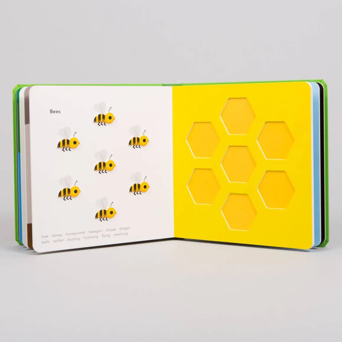 TouchThinkLearn: Little Critters By Xavier Deneux