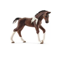 Trakehner Foal by Schleich
