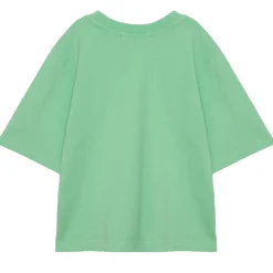 T-Shirt nº05 in Nile Green by True Artist