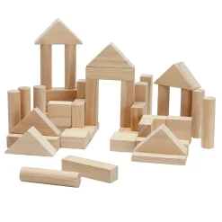 40 Unit Blocks in Natural by PlanToys