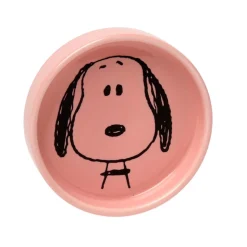 Visage Snoopy Pin Dish by Magpie