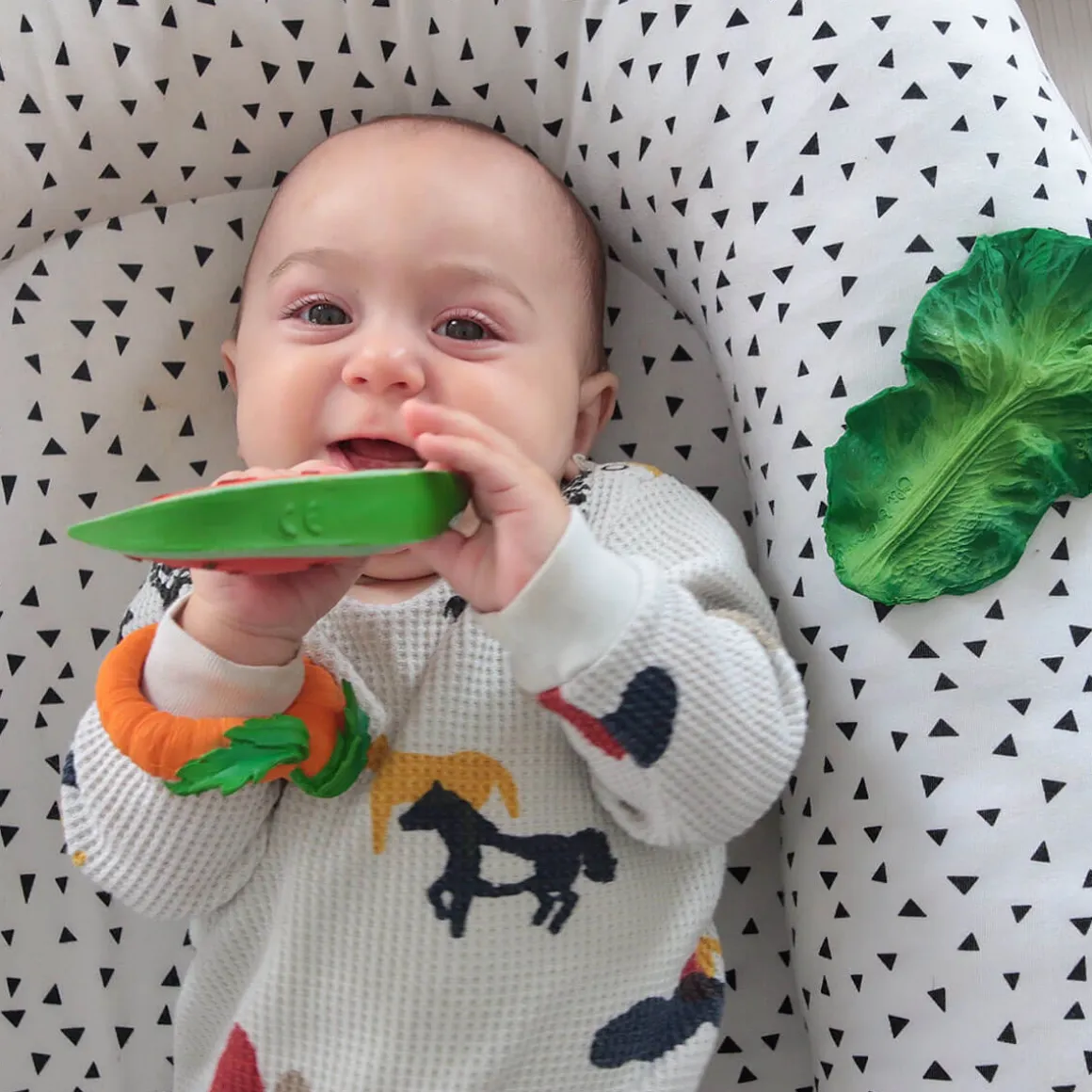 Wally The Watermelon by Oli & Carol