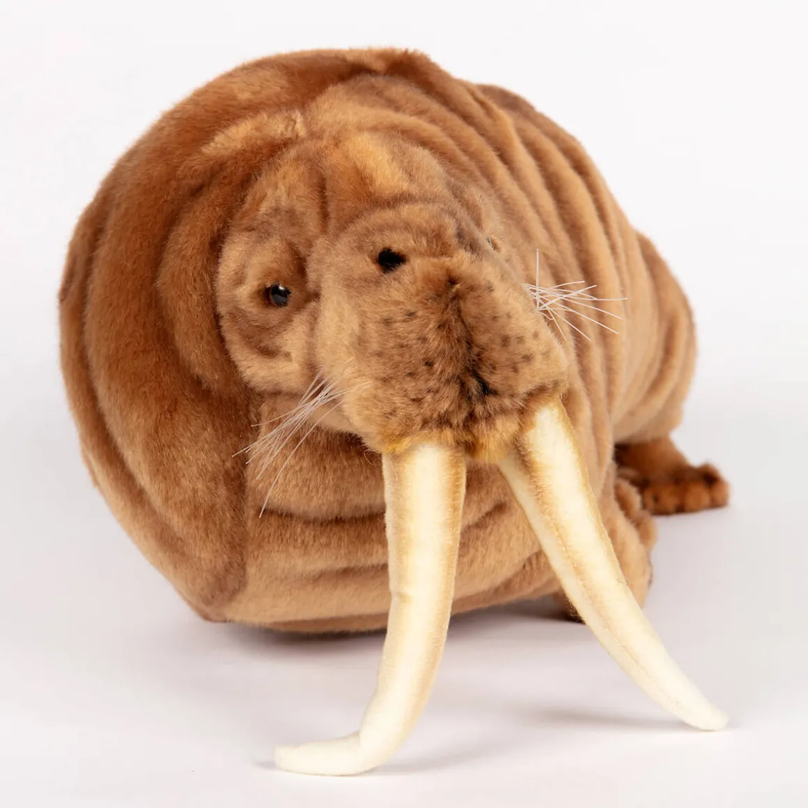 Walrus (38cm) by Hansa