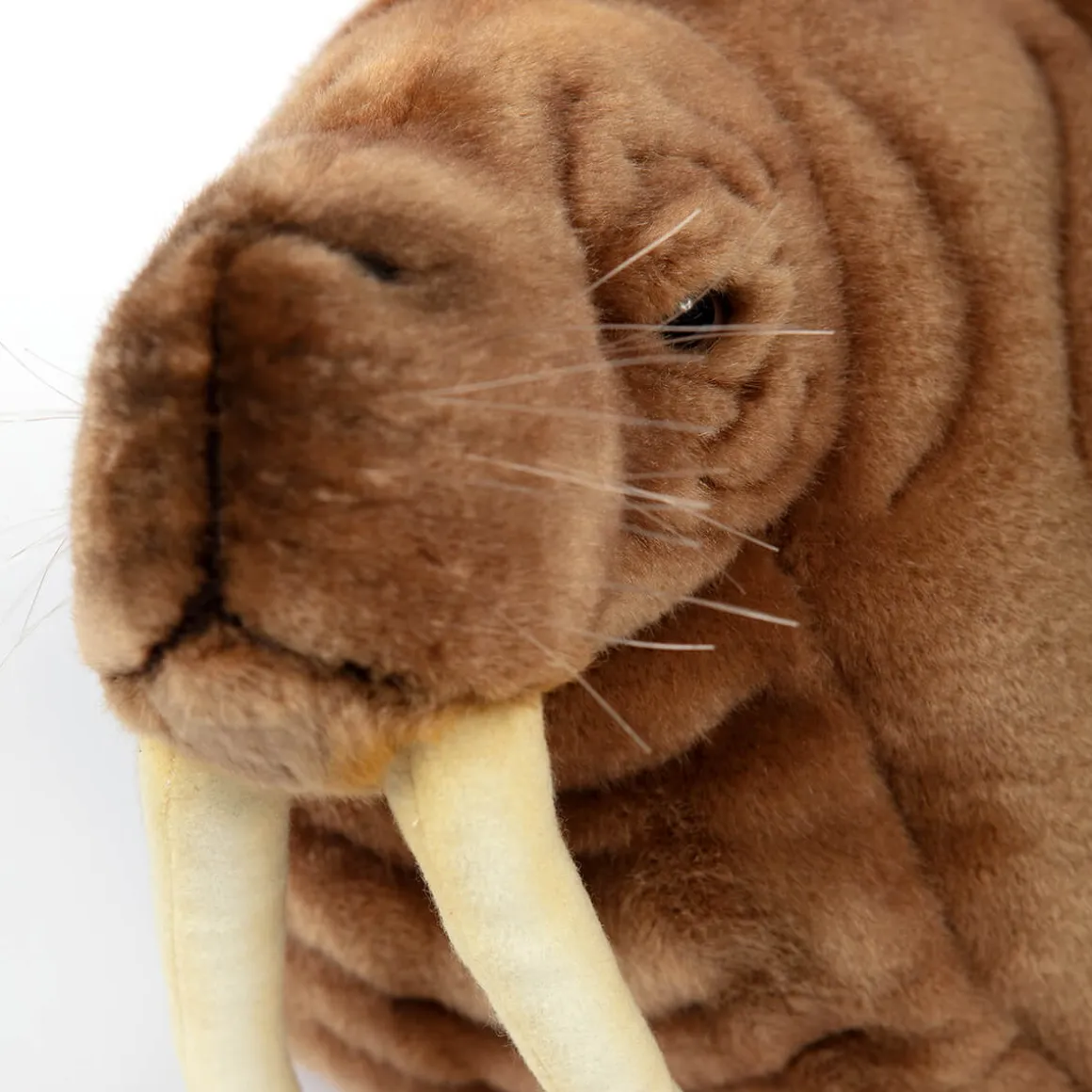 Walrus (38cm) by Hansa