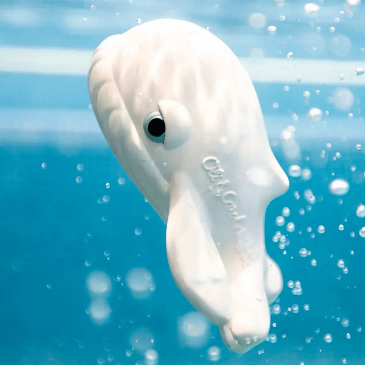 Walter the Whale Bath Toy by Oli & Carol