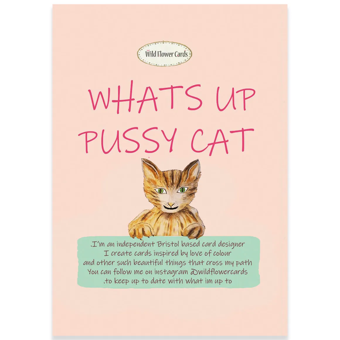 What's Up Pussy Cat Greetings Card by Wildflower Cards