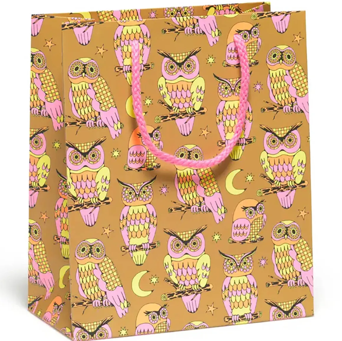 Wise And Wonderful Medium Gift Bag By Red Cap Cards
